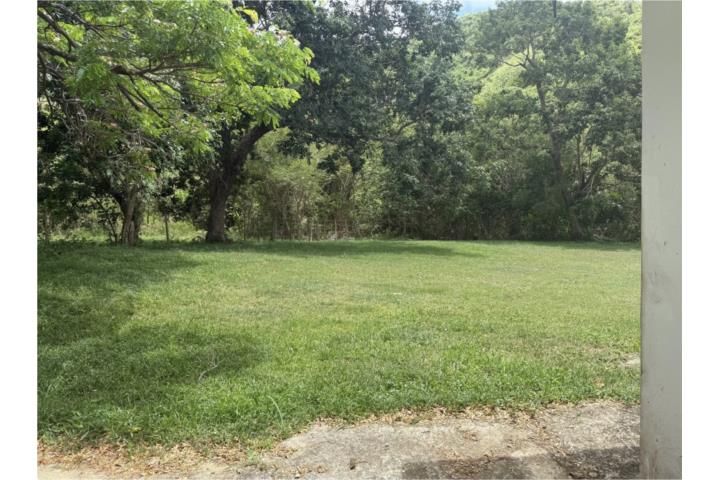 Pitahaya Arroyo 00714 PR