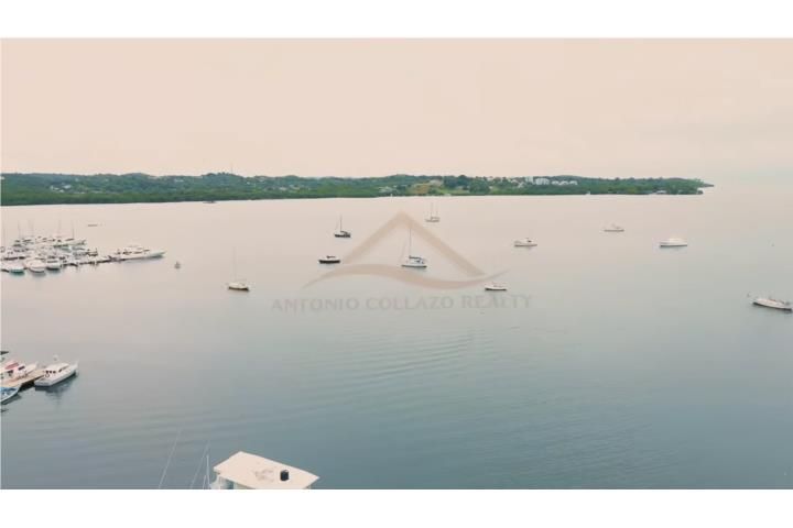 Puerto Real Cabo Rojo 00623 PR