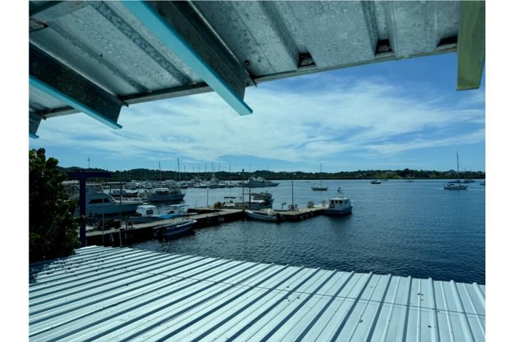Puerto Real Cabo Rojo 00623 PR