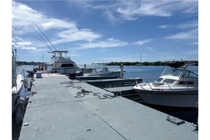 Puerto Real Cabo Rojo 00623 PR