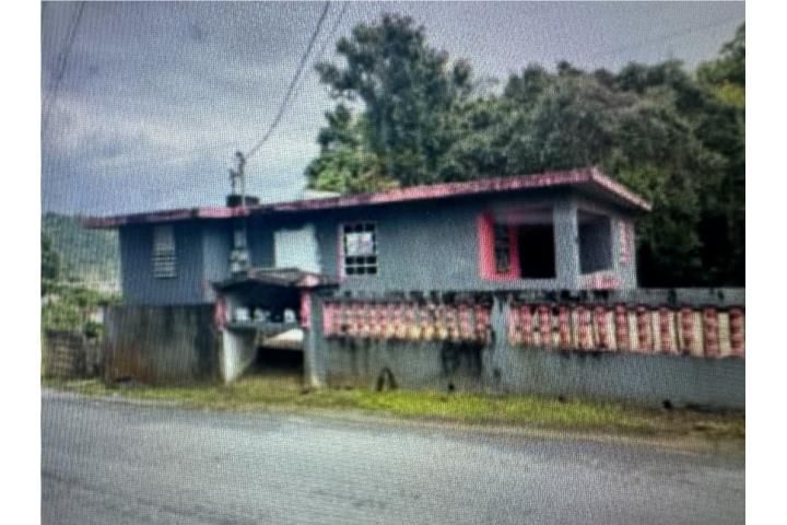 Mula Aguas Buenas 00703 PR