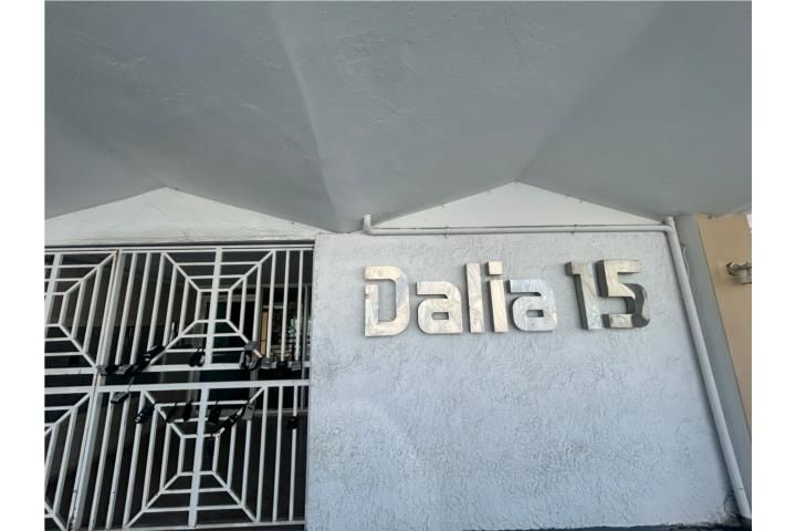 15 Calle Dalia Carolina 00979 PR