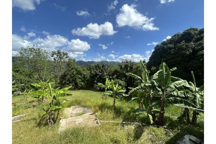 Morovis Morovis 00687 PR