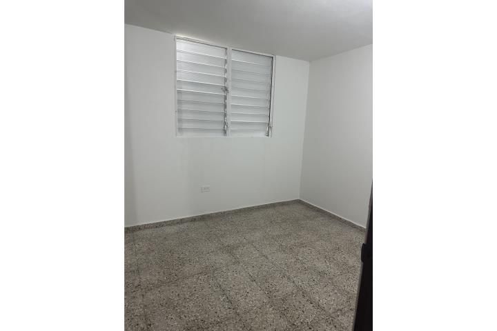 Alamar Luquillo 00773 PR