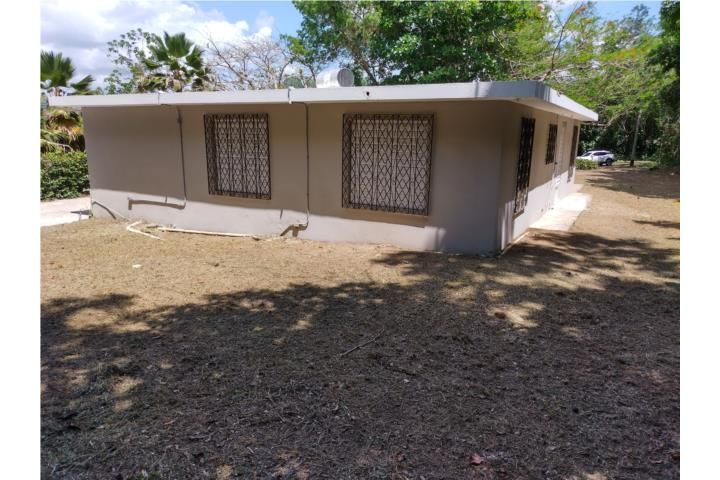 Santa Olaya Bayamon 00956 PR