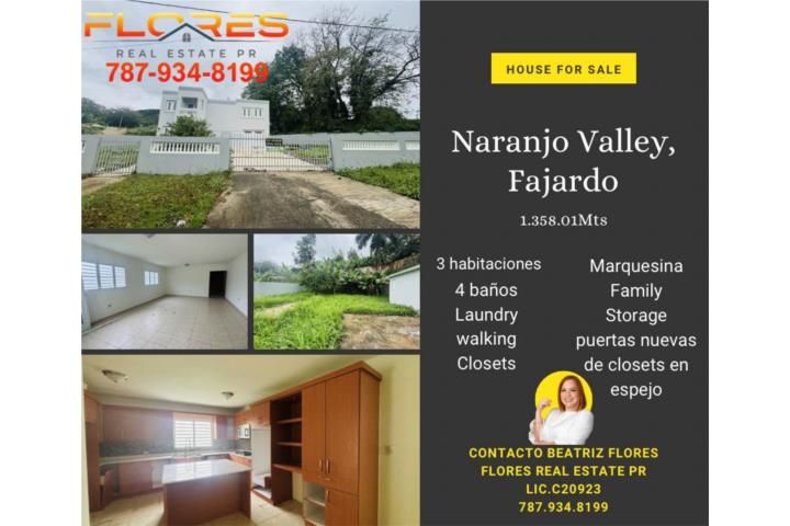 Fajardo Fajardo 00738 PR