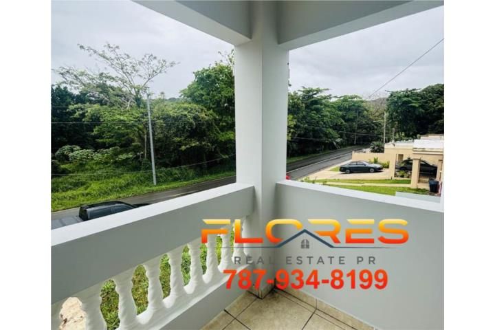 Fajardo Fajardo 00738 PR