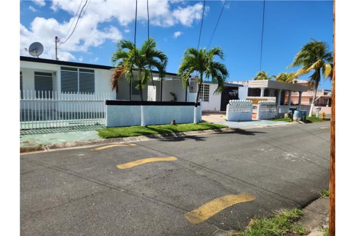 Alamar Luquillo 00773 PR
