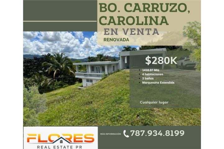 Carruzos Carolina 00987 PR