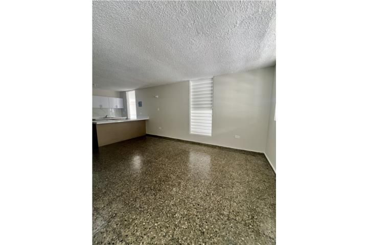 Calle Tibes Ponce 00716 PR