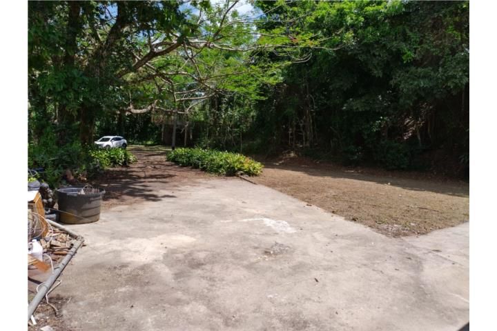 Santa Olaya Bayamon 00956 PR
