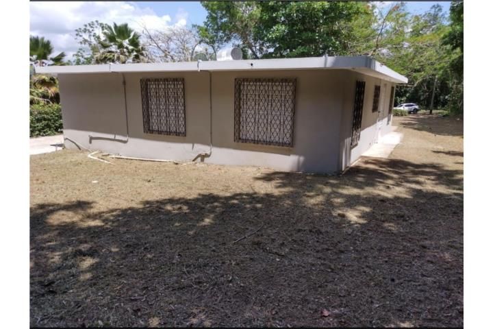 Santa Olaya Bayamon 00956 PR