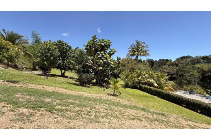 Atalaya Aguada 00602 PR