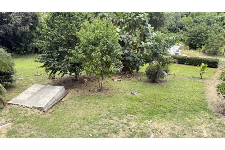 Atalaya Aguada 00602 PR