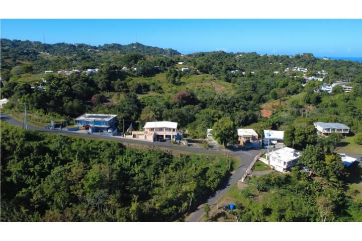 Atalaya Aguada 00602 PR