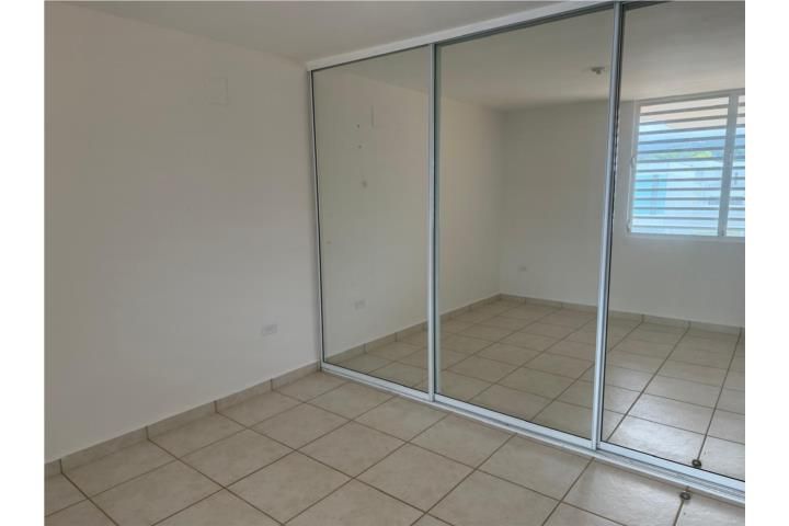 Calle Principal Luquillo 00773 PR