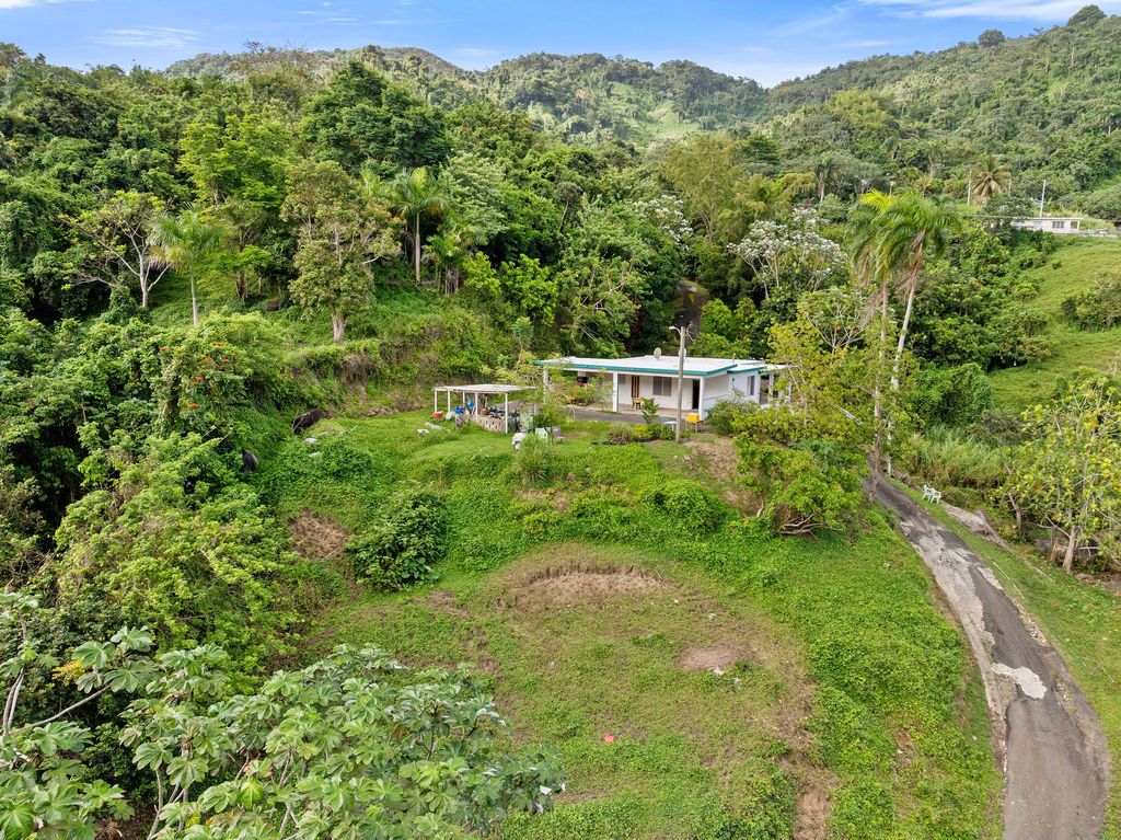 Matuyas Bajo, Maunabo — foto 2