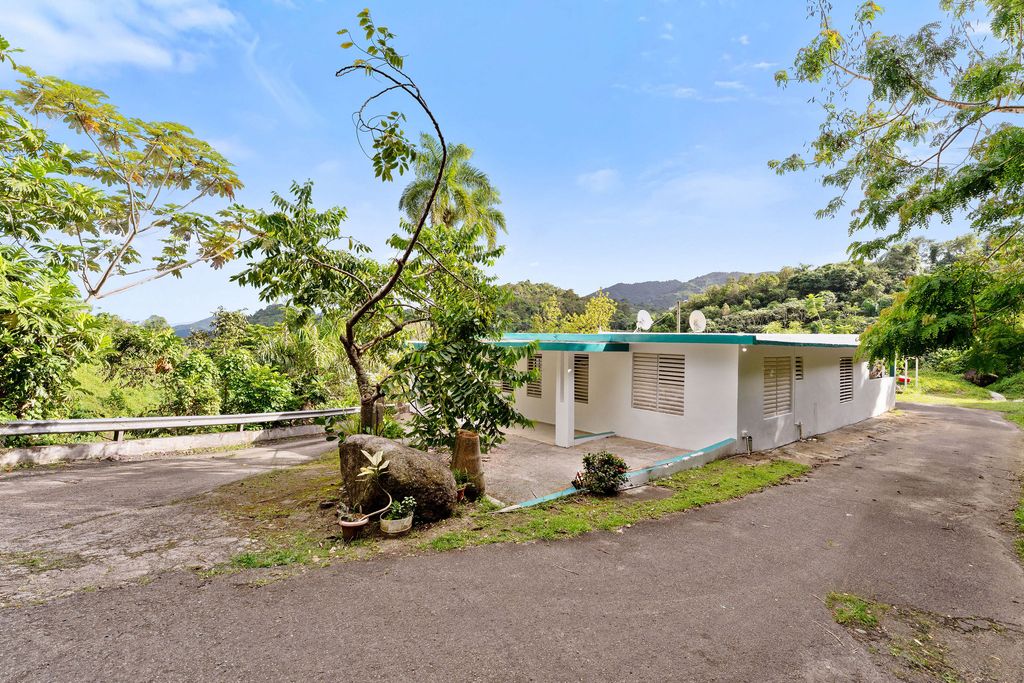 Matuyas Bajo, Maunabo — foto 3