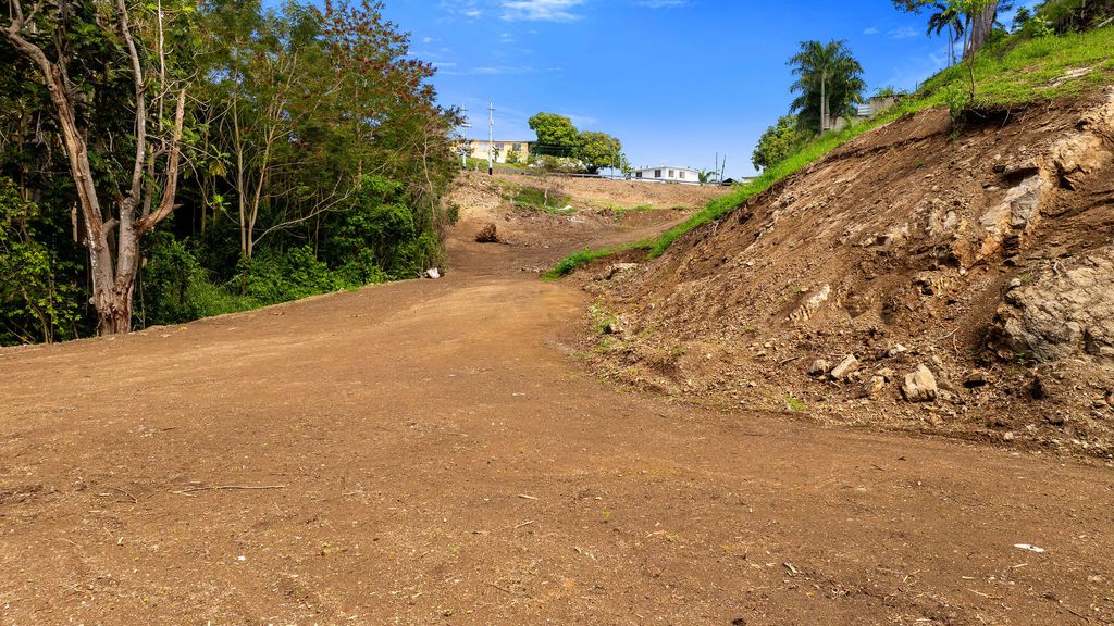 Bo Pueblo Carr 412 Km Hm 0.7 Rincon 00677 PR