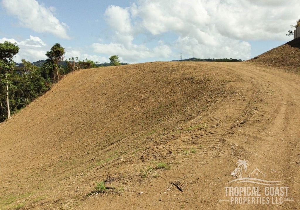 Bo Barrero- Carr 115 Km 9.0 Rincon 00677 PR