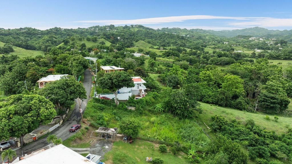 Bo Calvache Sector Mani, Rincon - 8