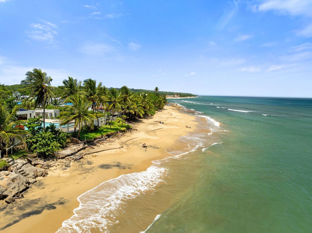 Bo Guayabo Road 115 Km 20 Int, Aguada - 16