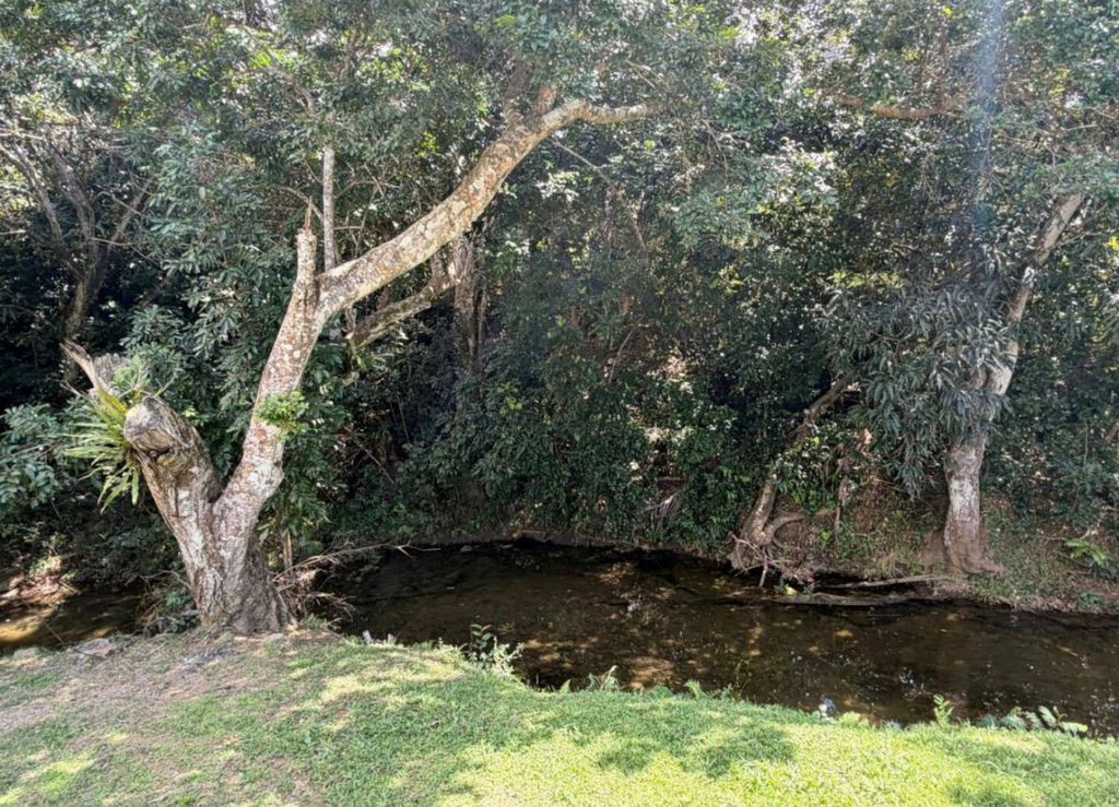 Bo, Cruces Rincón Rincon 00677 PR