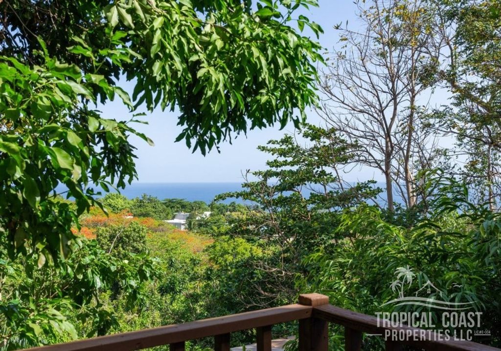 Bo Puntas- Carr 413 Rincon 00677 PR