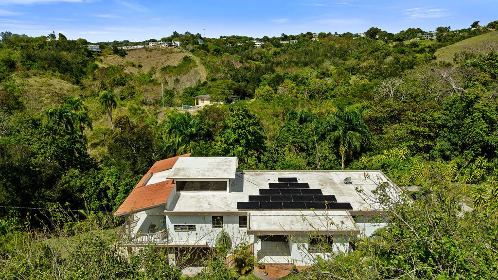 Bo Pueblo Carr 412 Km 1.2, Rincon 00677 PR