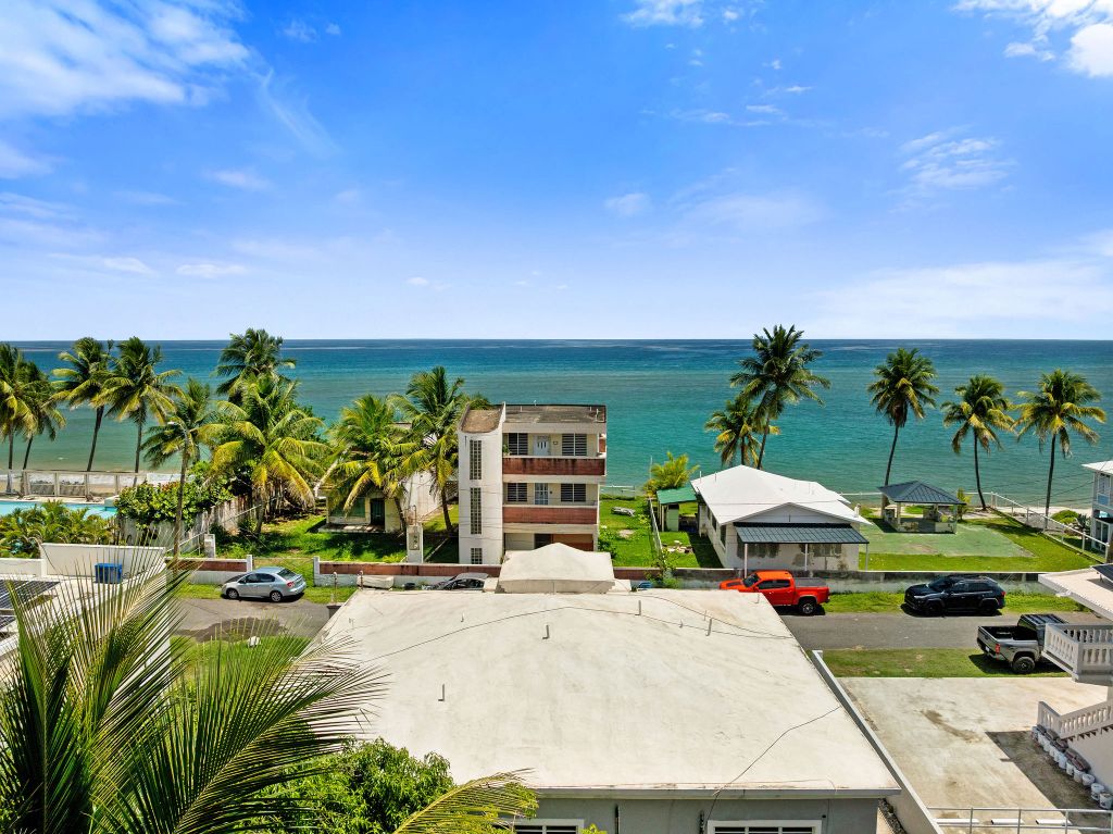 Bo Guayabo Road 115 Km 20 Int, Aguada - 3