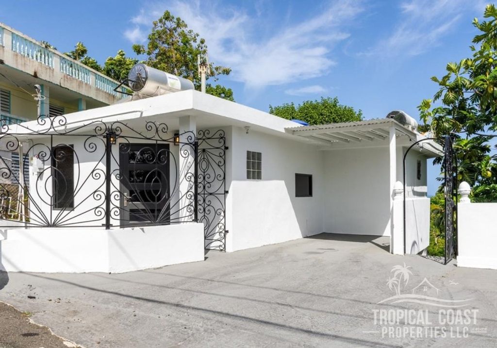 Bo Puntas- Carr 413 Rincon 00677 PR