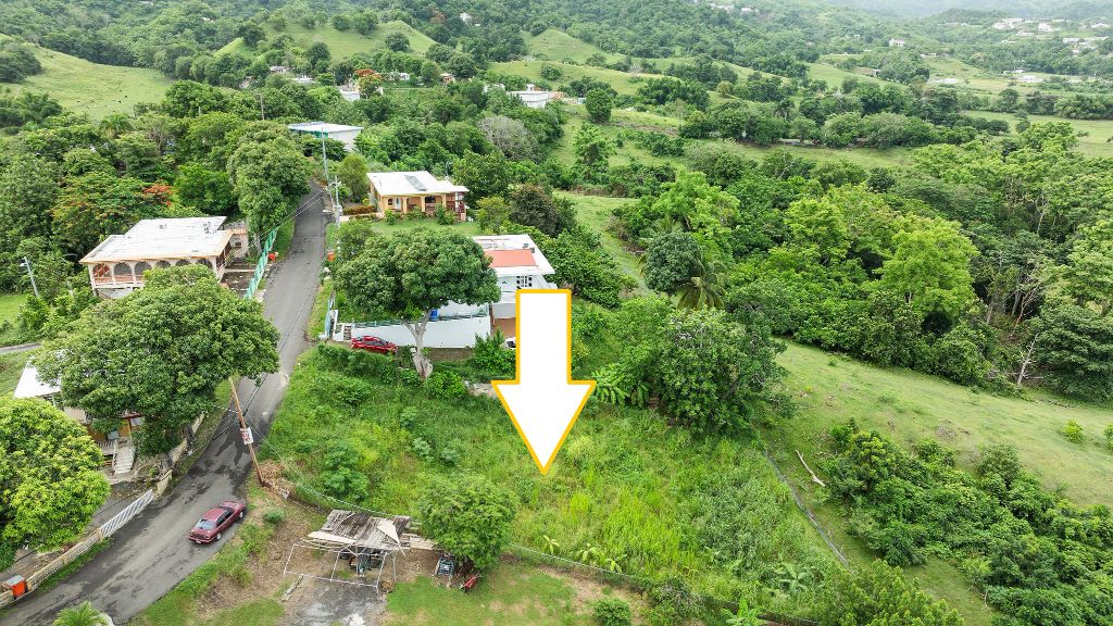 Bo Calvache Sector Mani, Rincon - 3