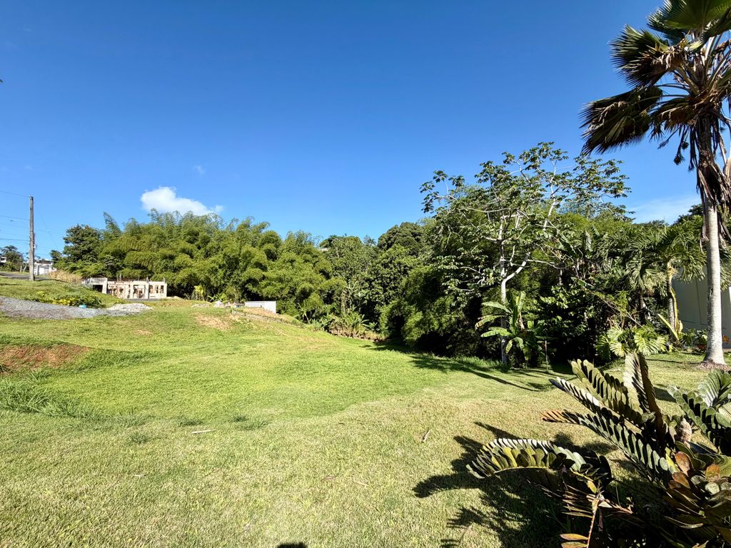 Urbanizacion Villa Sonsire Calle Alheli Solar 13 B Mayaguez 00680 PR