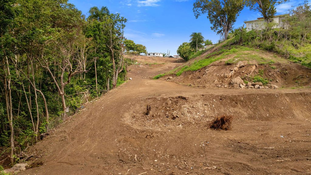 Bo Pueblo Carr 412 Km Hm 0.7 Rincon 00677 PR