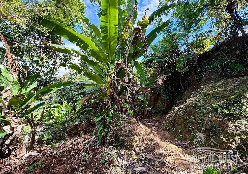 Bo Bateyes- Carr 106 Km Hm 1.9, Mayaguez - 22