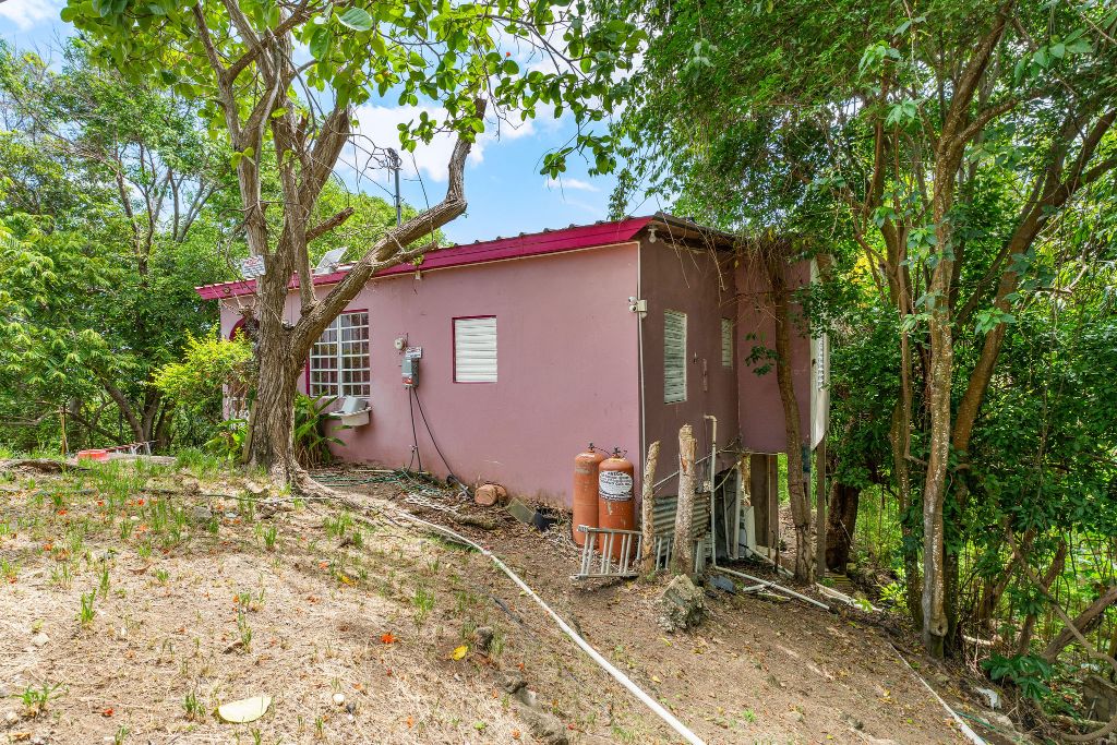 Bo. Cruces, Carr 412, Km 4.4, Rincon - 14