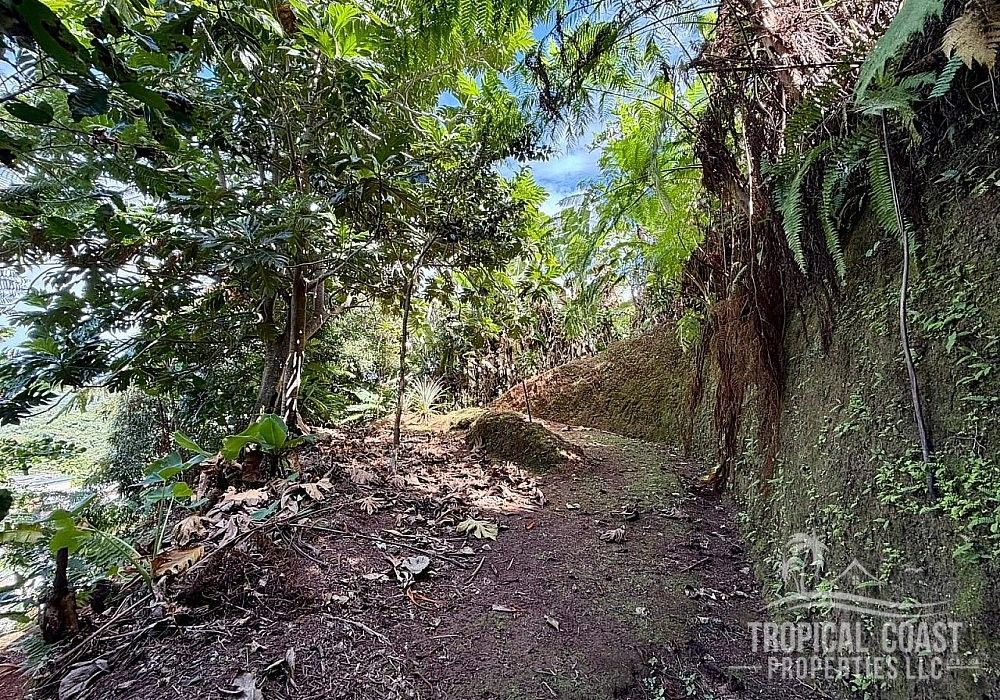 Bo Bateyes- Carr 106 Km Hm 1.9, Mayaguez - 5