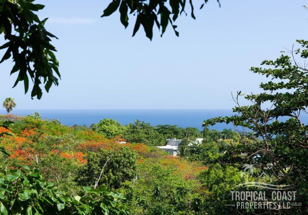Bo Puntas- Carr 413 Rincon 00677 PR