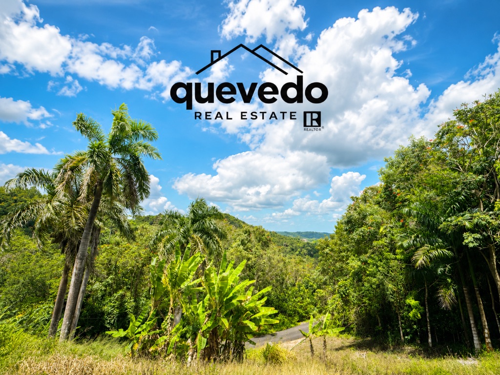 Franquez, Morovis - 3