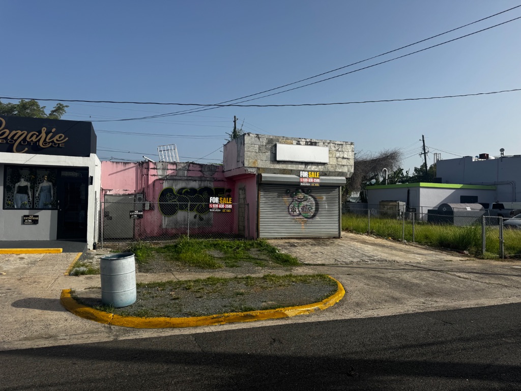 Marginal Carretera #2, Manati - 1