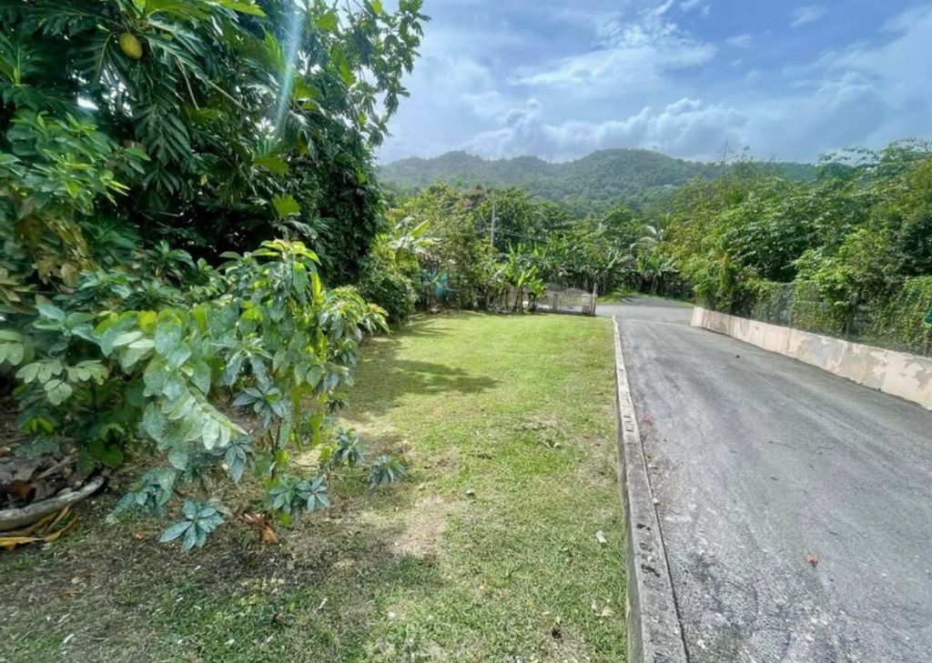 PR 777 LOTE 3 KM 2.0 INTE,  Aguas Buenas 00703 PR