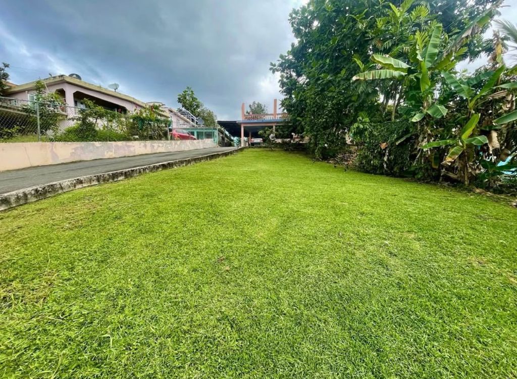 PR 777 LOTE 3 KM 2.0 INTE,  Aguas Buenas 00703 PR