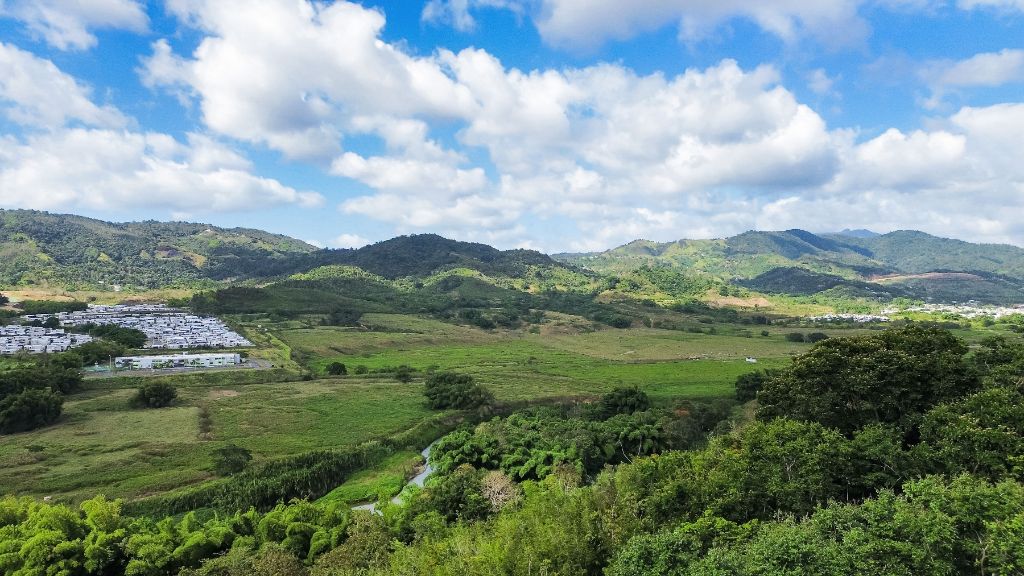 203 Los Altos , Ciudad Jardin, Gurabo - 48
