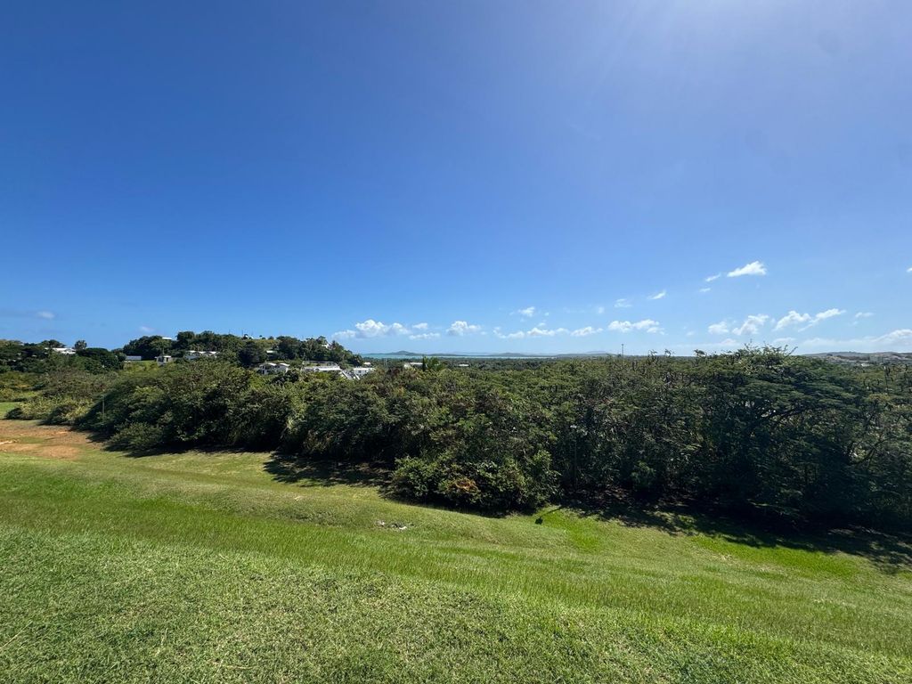 LOT 59, Urb. Las Gaviotas Fajardo 00738 PR