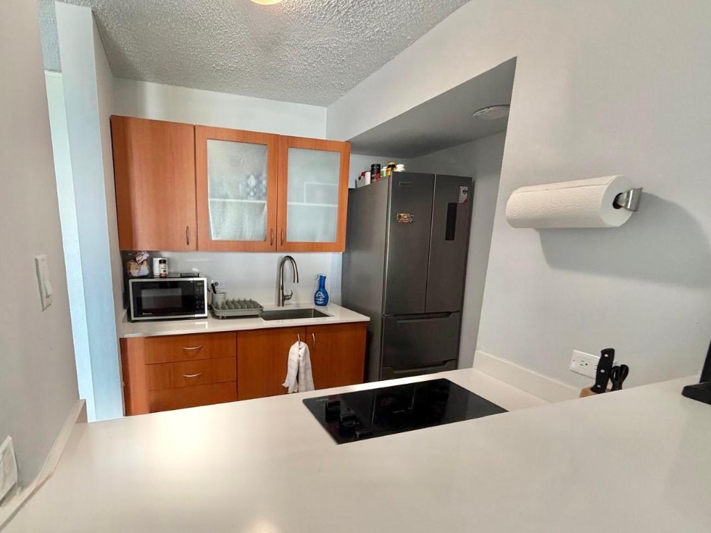 APT 1205, 690 Cesar Gonzalez, Parque De Las Fuentes, Rio Piedras, San Juan - 3