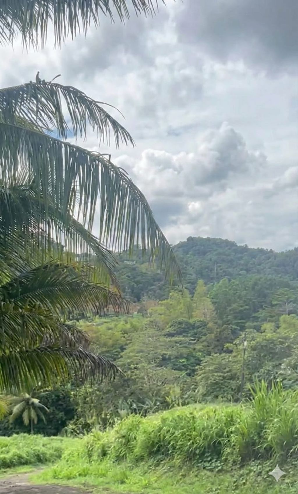 Sector Los Benítes, PR-84, Lote 33 San Juan 00926 PR