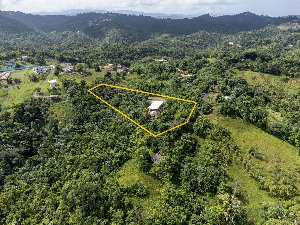 Sector La Vega, Km 4.4, Pr-794 Aguas Buenas 00703 PR