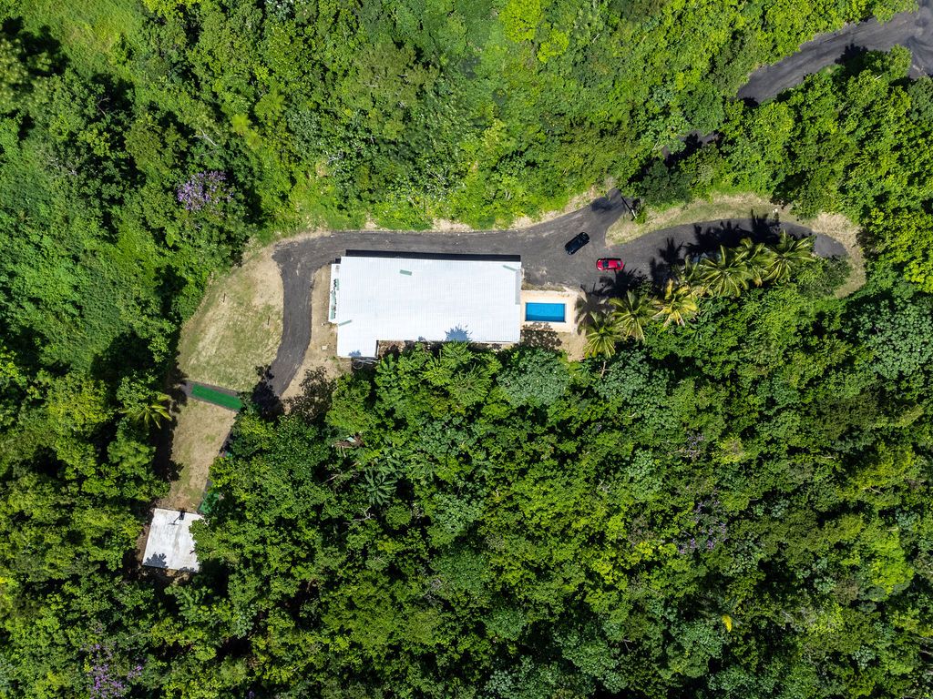 Sector La Vega, Km 4.4, Pr-794 Aguas Buenas 00703 PR