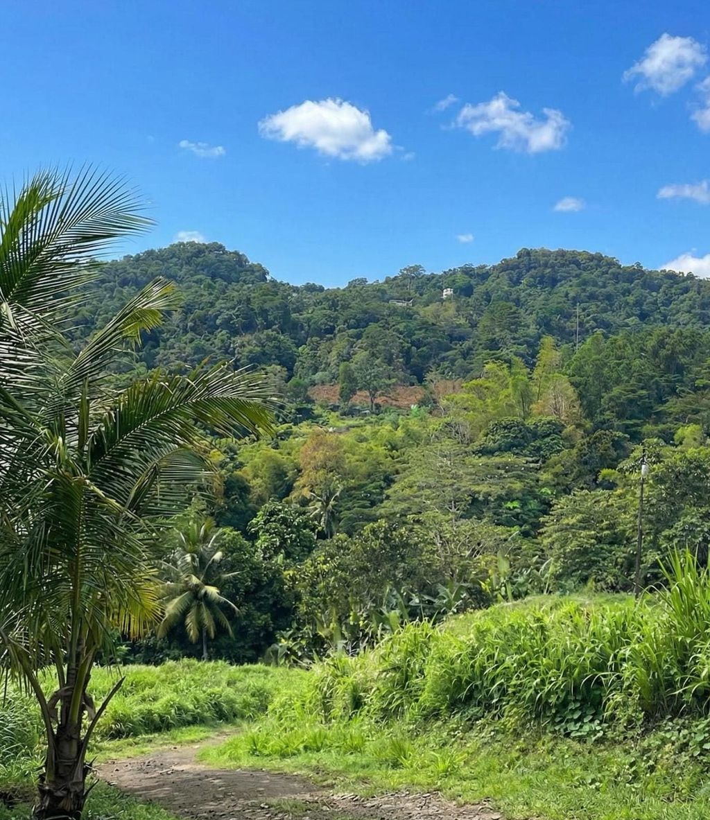 Sector Los Benítes, PR-84, Lote 33 San Juan 00926 PR