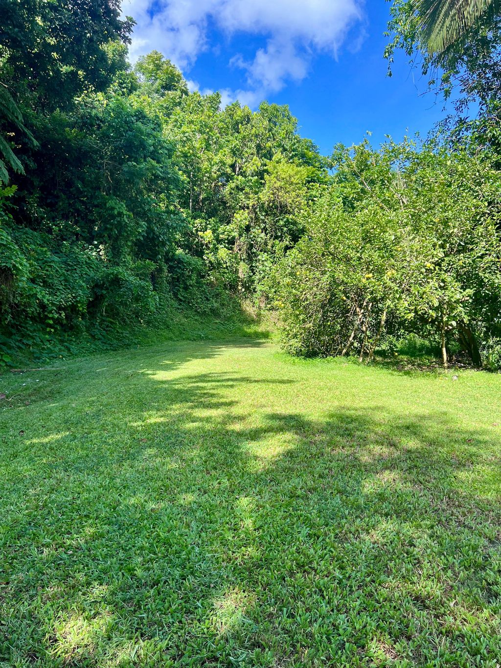 Sector Los Benítes, PR-84, Lote 33 San Juan 00926 PR